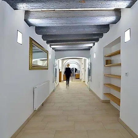 Appartement-hotel Gh Zum Goldenen Schiff Enns