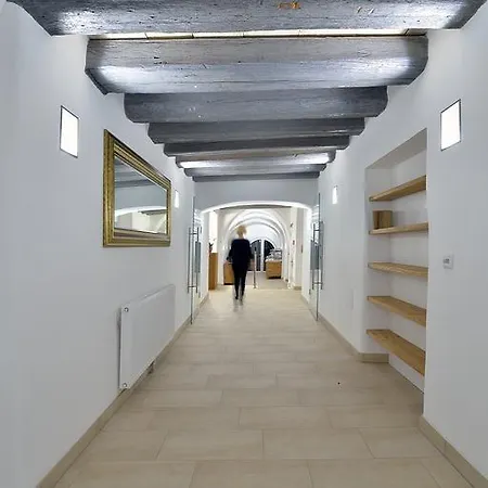 호텔 Appartement-hotel Gh Zum Goldenen Schiff 엔스