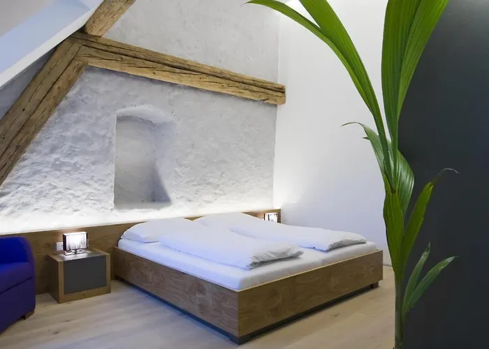 Otel Appartement-hotel Gh Zum Goldenen Schiff Enns