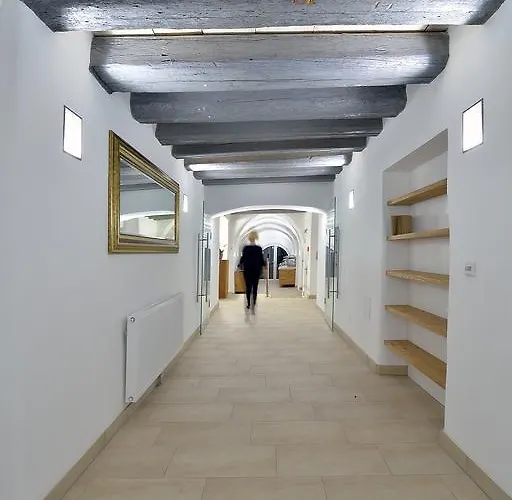 Отель Appartement-hotel Gh Zum Goldenen Schiff Эннс