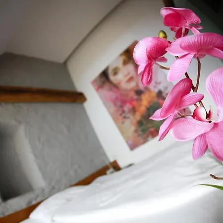 Appartement-hotel Gh Zum Goldenen Schiff فندق 3*