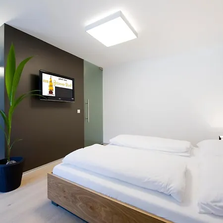 Appartement-hotel Gh Zum Goldenen Schiff إنس