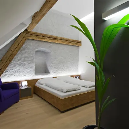 Appartement-hotel Gh Zum Goldenen Schiff فندق 3*