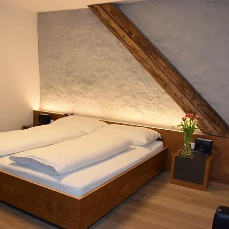 Appartement-hotel Gh Zum Goldenen Schiff إنس