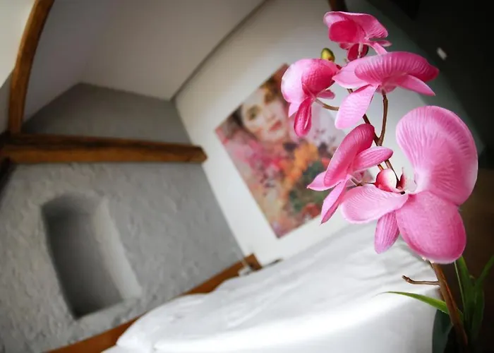 Appartement-hotel Gh Zum Goldenen Schiff فندق 3*