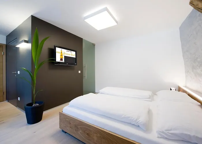 Appartement-hotel Gh Zum Goldenen Schiff إنس