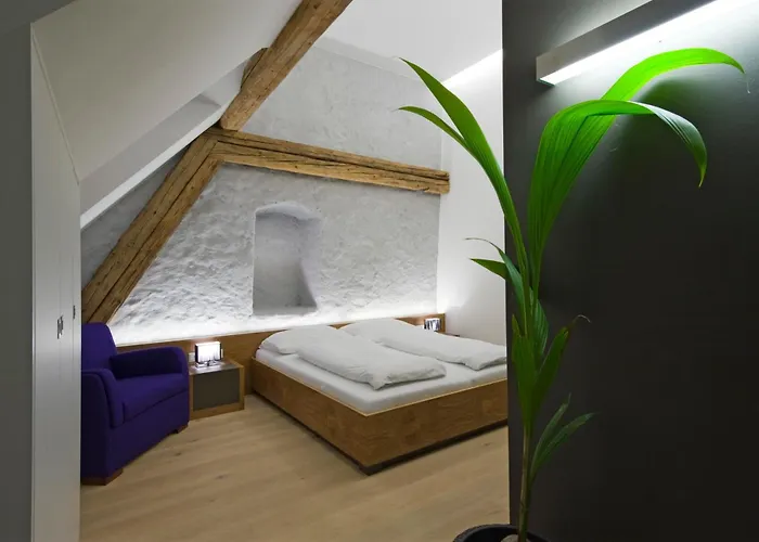 Appartement-hotel Gh Zum Goldenen Schiff فندق 3*