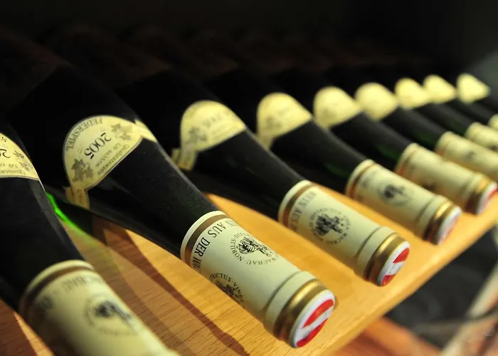 فندق Appartement-hotel Gh Zum Goldenen Schiff 3*